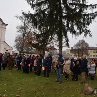 Zobacz w powiększeniu: 11 listopada 2024 (1)